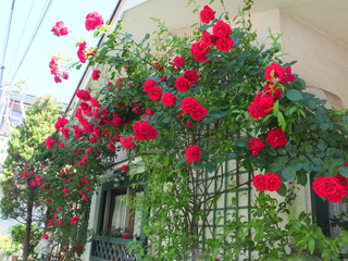 DSCF2704.JPG